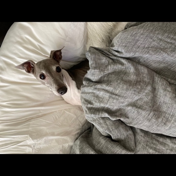 Meet your Posher, Maria - Picture 8 of 8